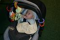 Picture 5477